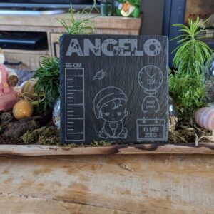 Leisteen geboorte tegel