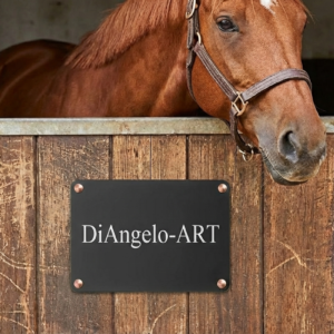 Aluminium deurplaatje 10 x 5 cm